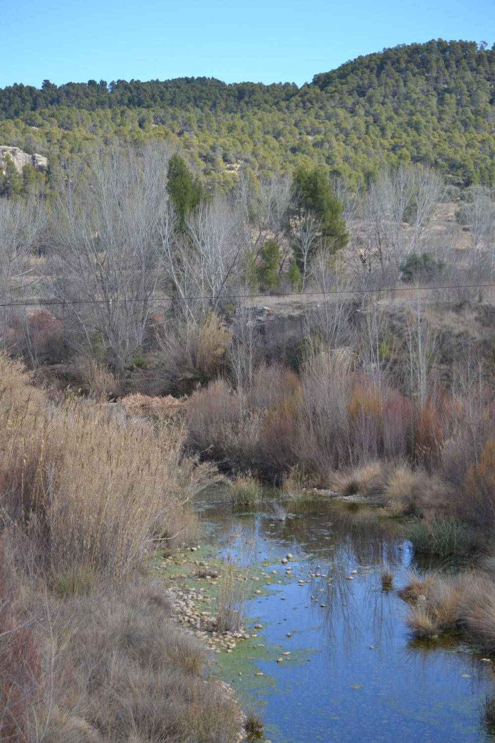 Río Tastavins