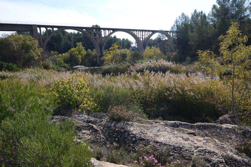 Viaducto río Algás