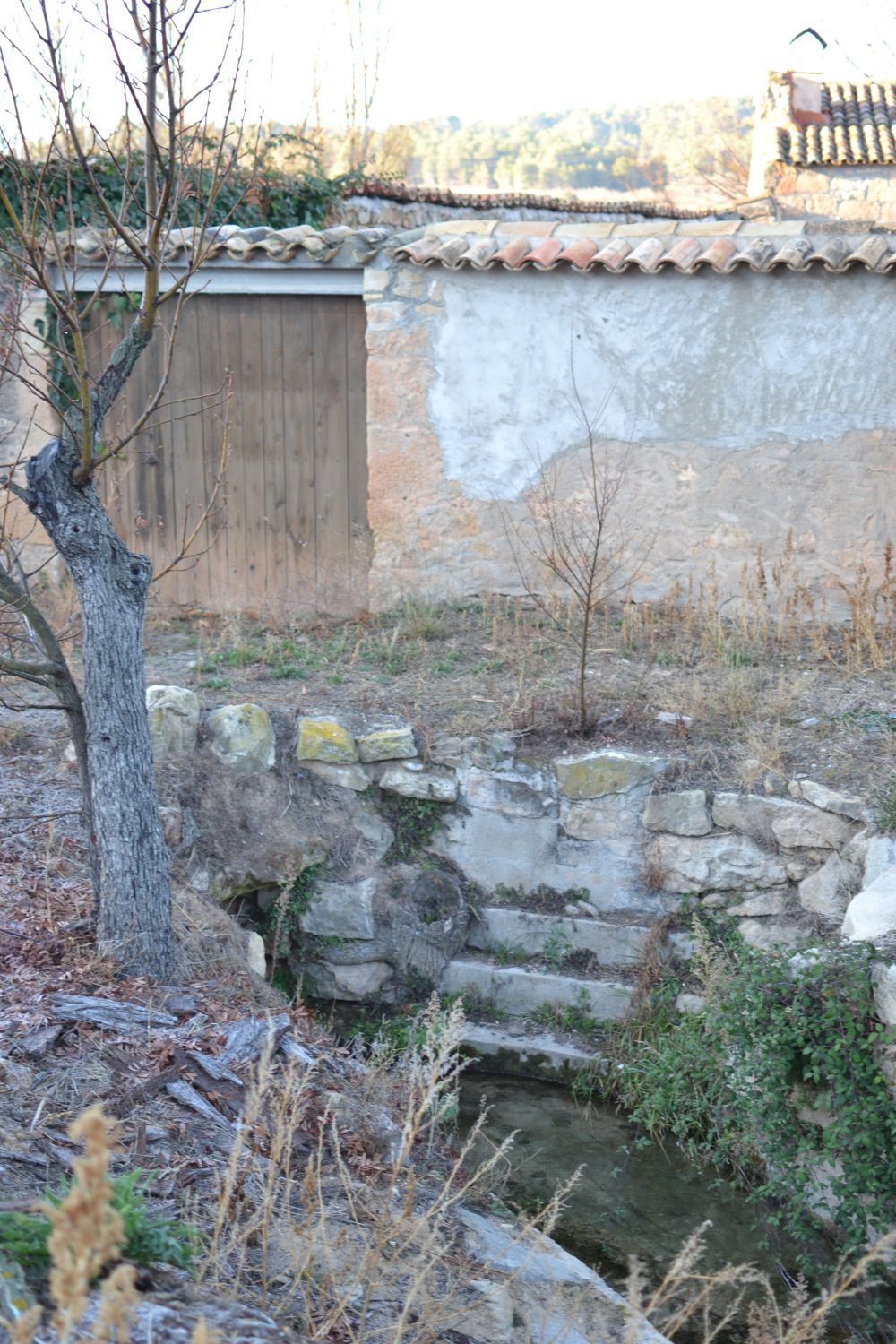 Molinet d'en Vidre