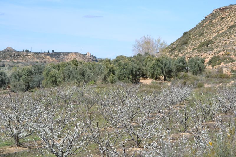 Almendros