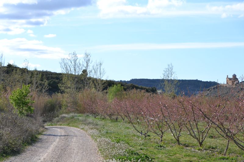 Almendros