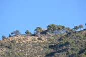 Castell de Faió (Castillo de Fayón), torre de observación durante las Guerras Carlistas