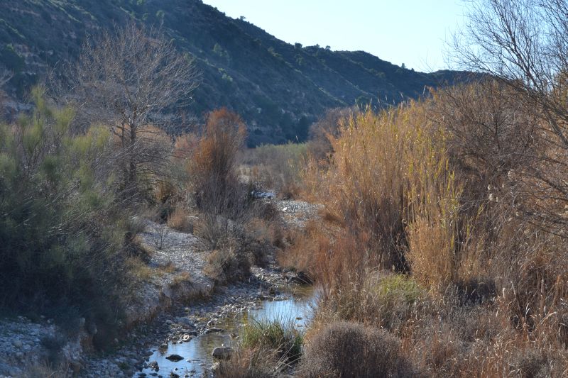Desembocadura río Algars en el Matarraña