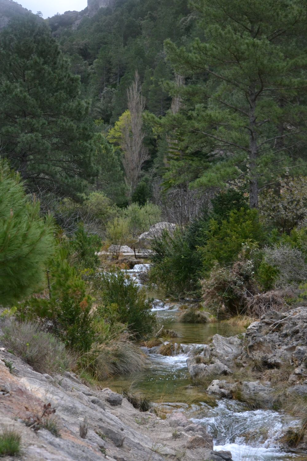 Curso alto del río Matarraña Curso alto del río Matarraña