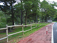 Área recreativa de los Castaños