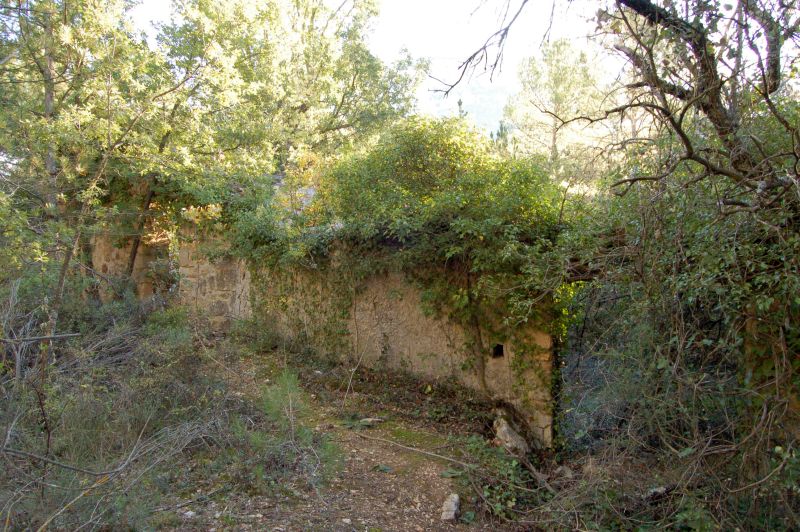 Corral de la Viña