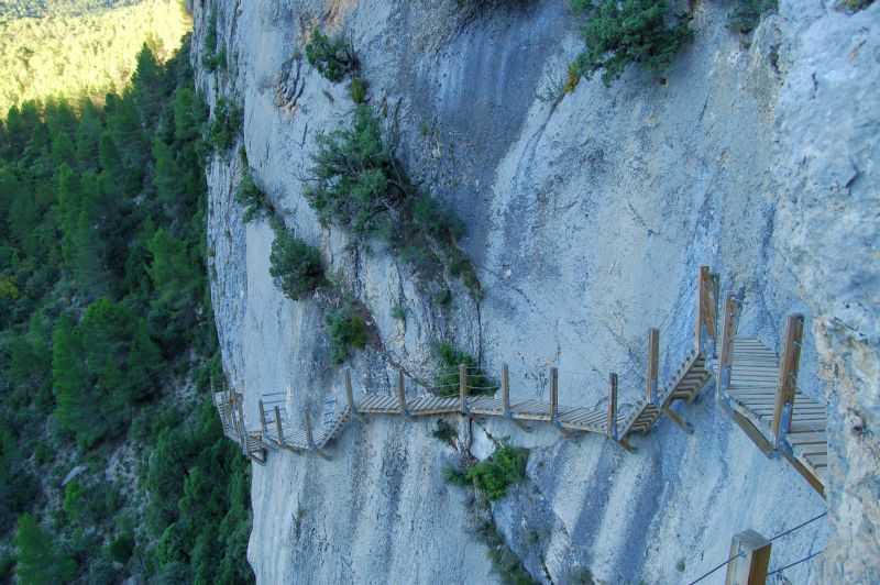 Pasarela colgante 1