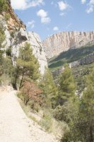 Tramo del camino con vegetación mediterránea típica de la zona