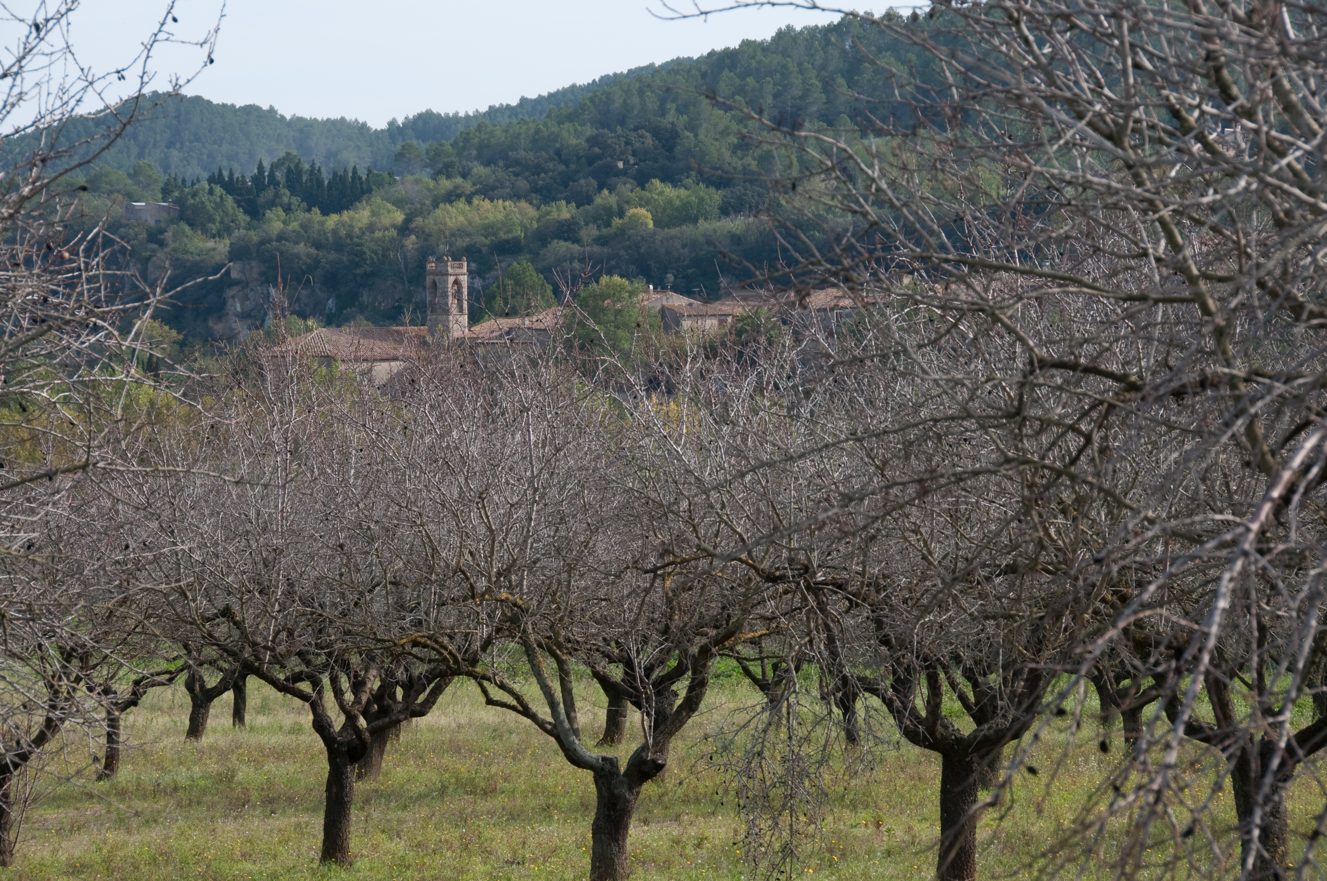 Les Escaules
