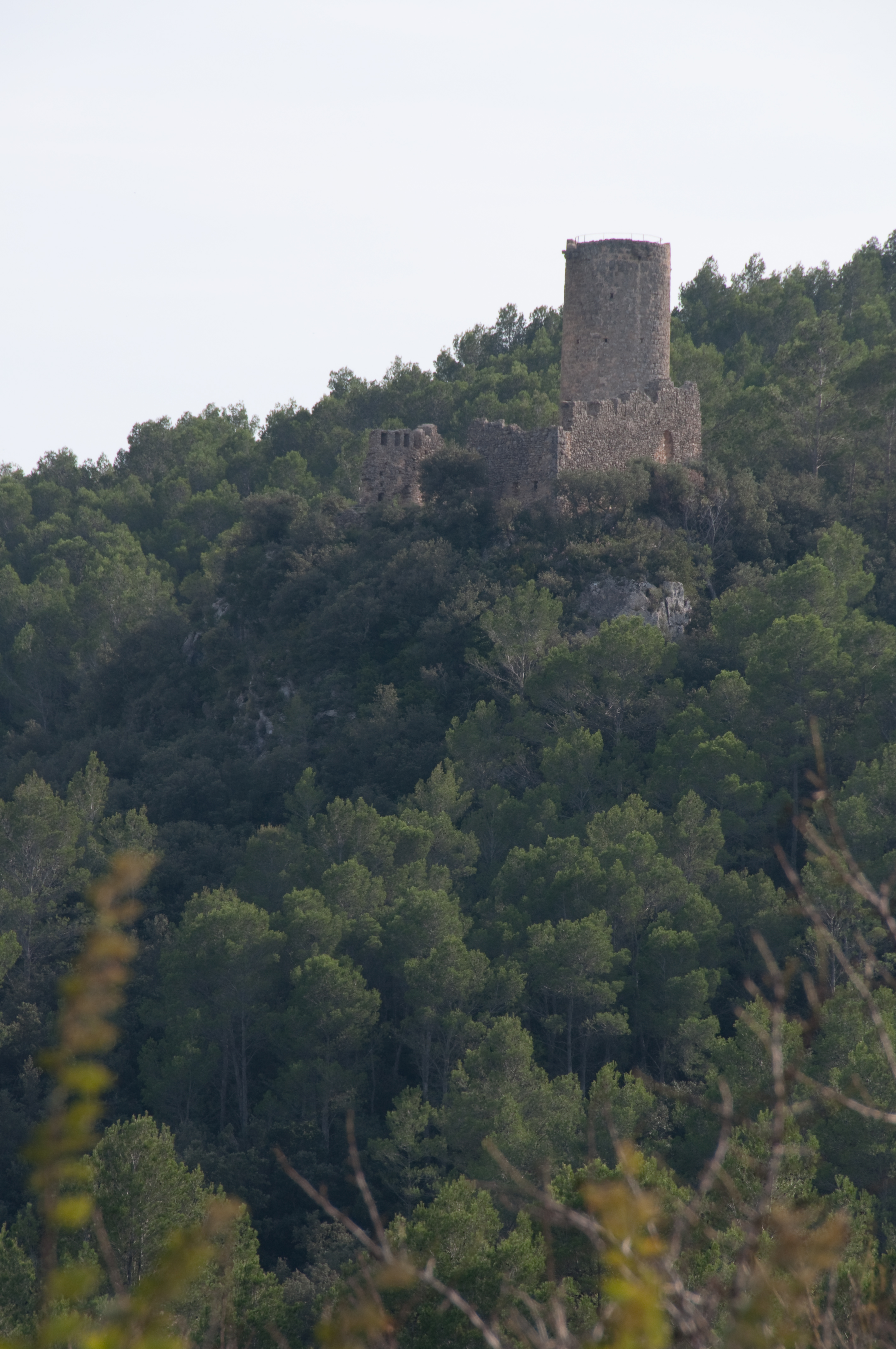 Les Escaules