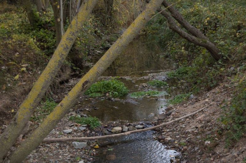Río Prades