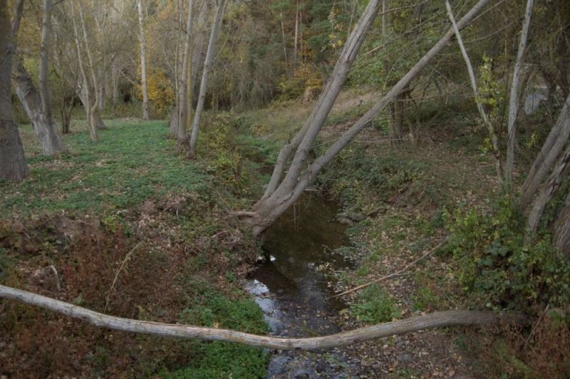 Río Prades