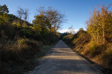 Aspecto del camino en las inmediaciones del hito kilométrico 5