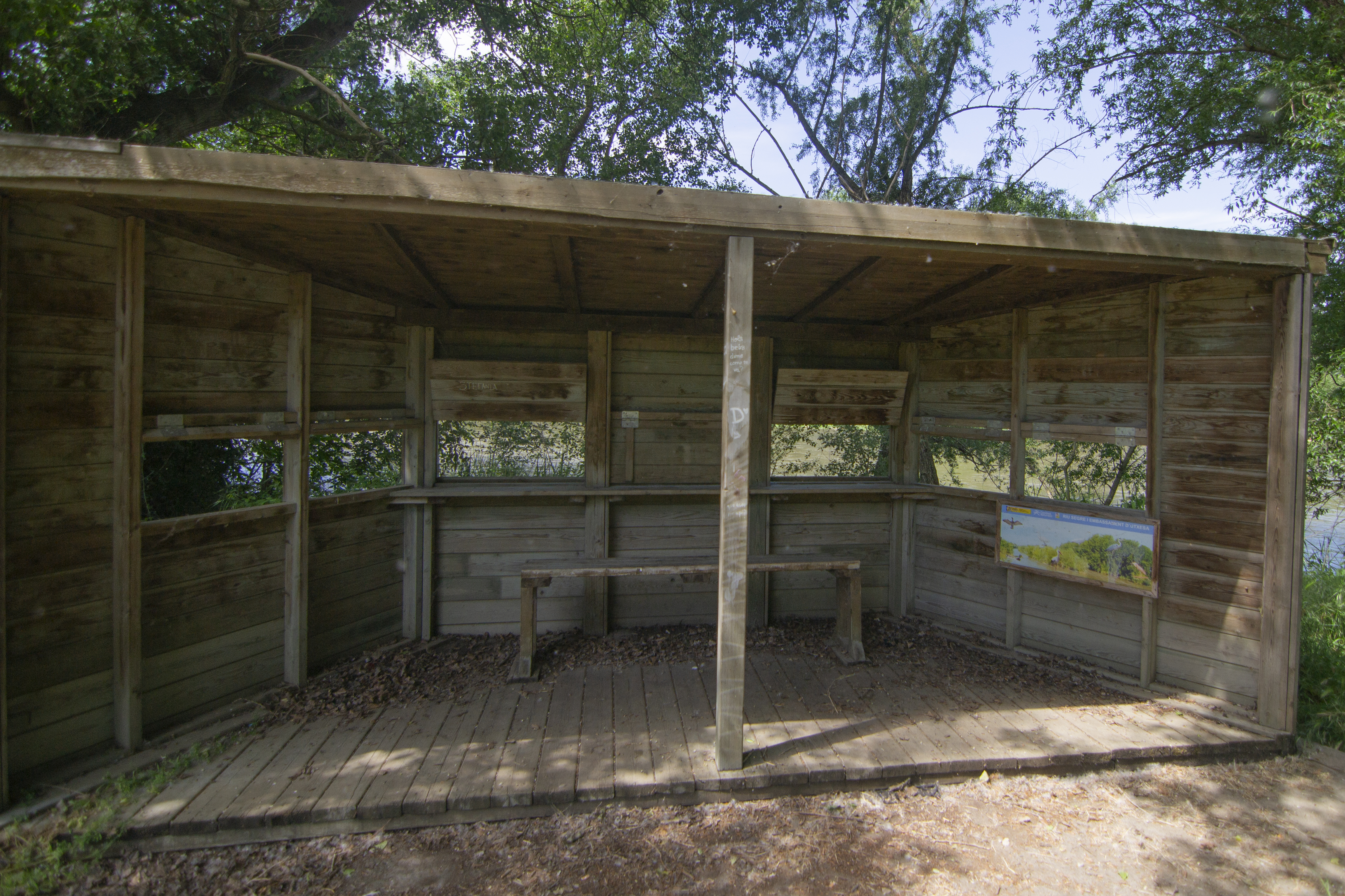 Observatorio de aves 