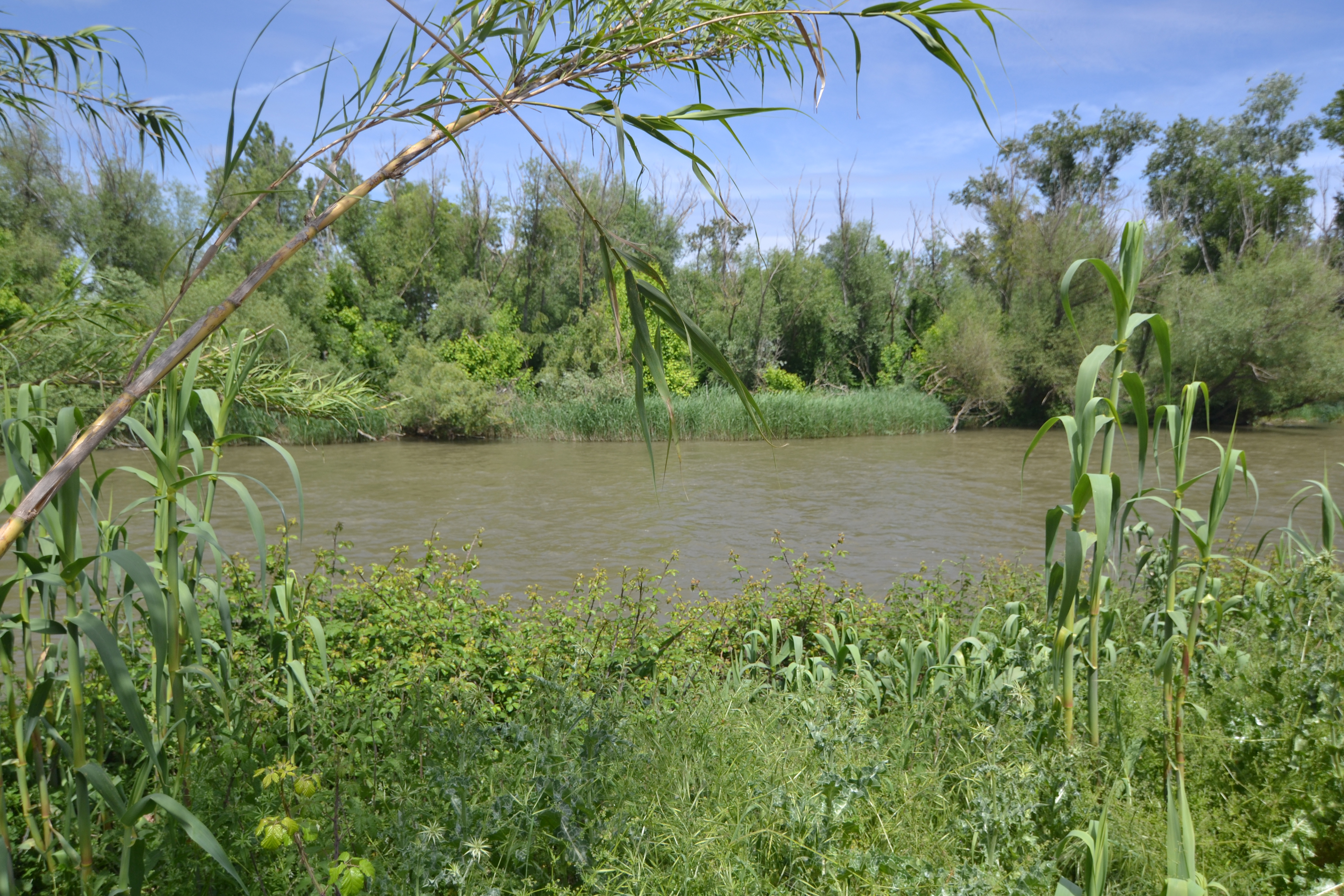 Río Segre