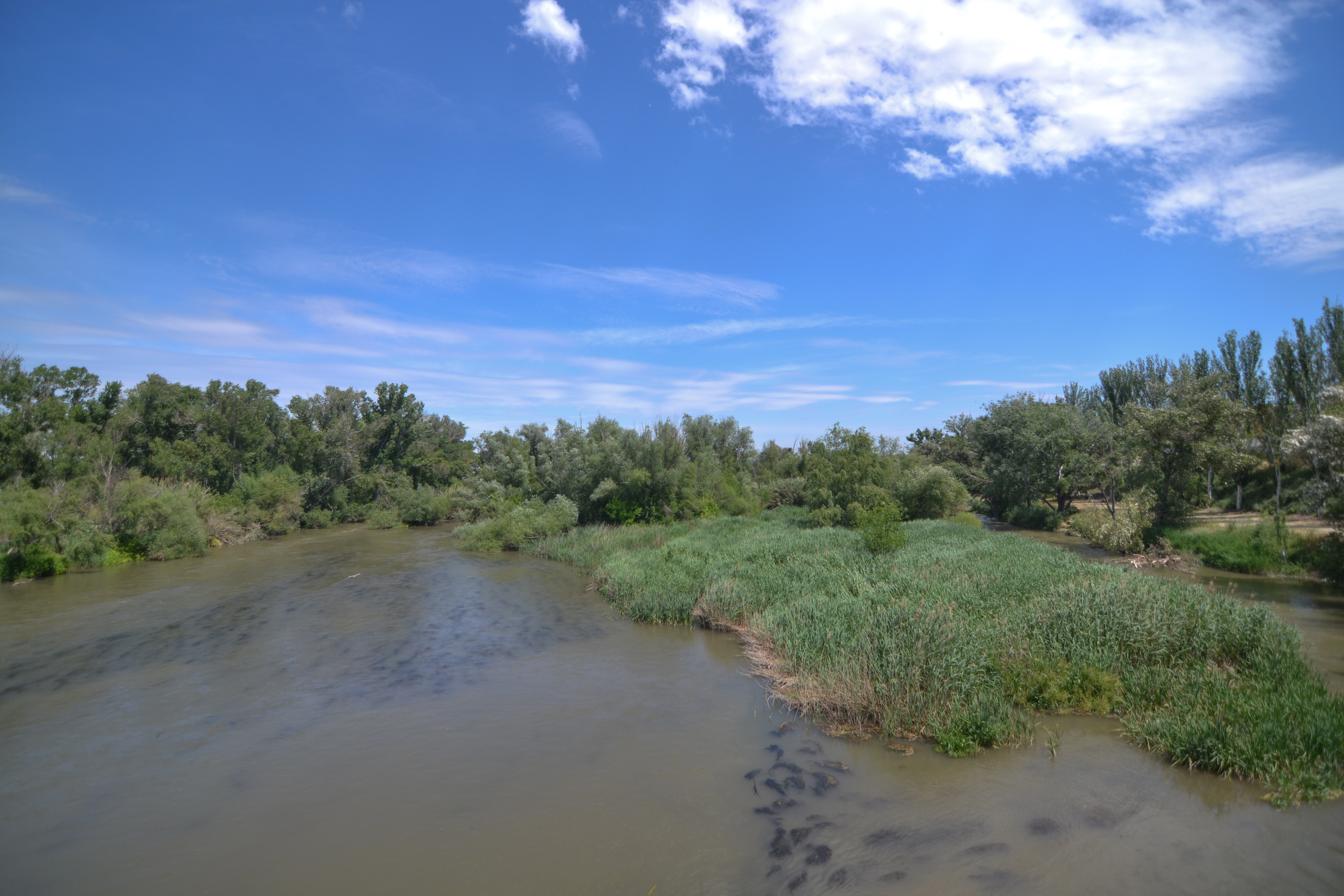 Río Segre