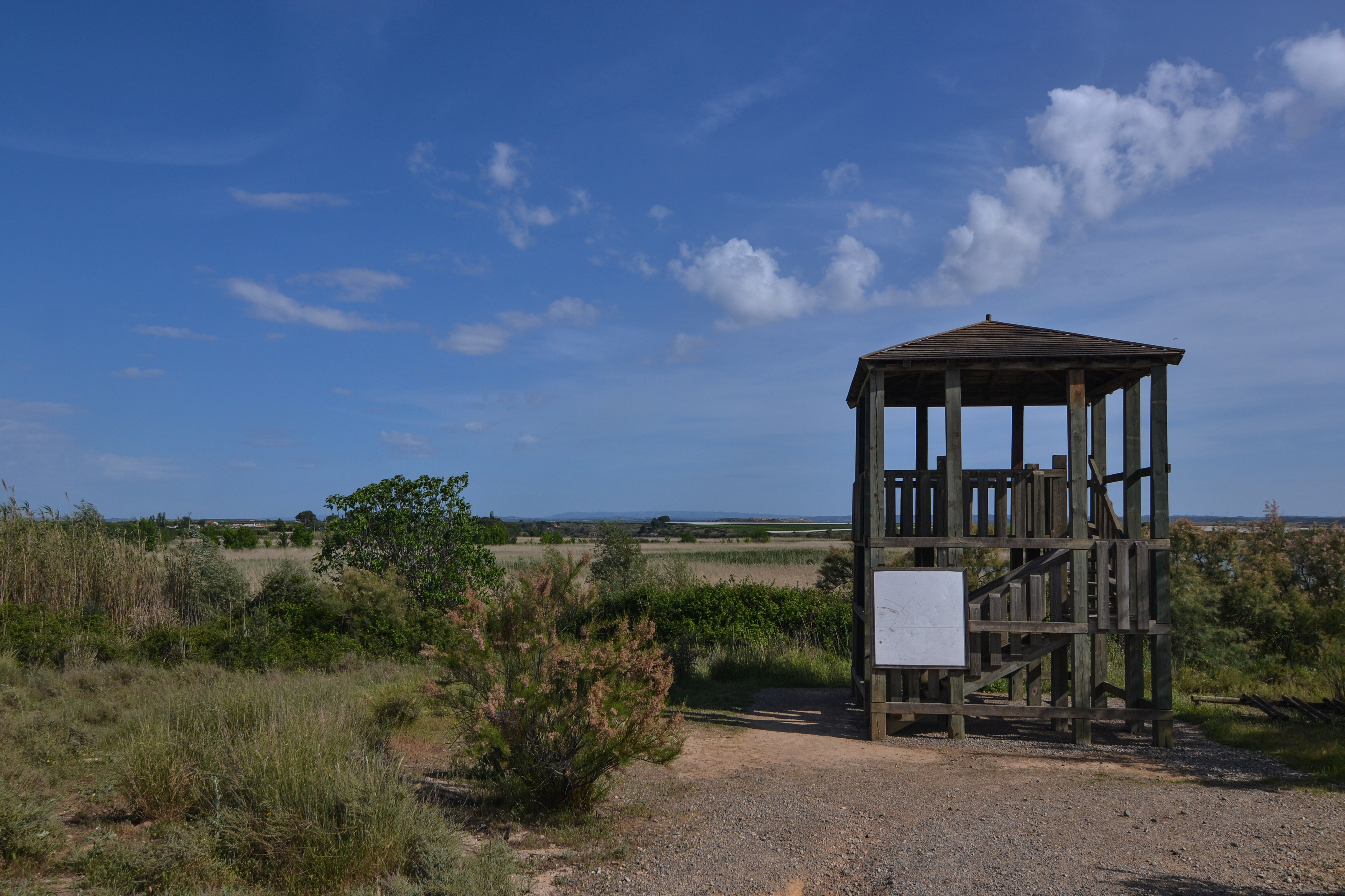 Observatorio de aves 