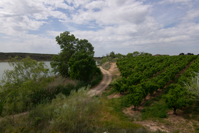 Vistas del camino y del embalse desde el mirador del Molí
