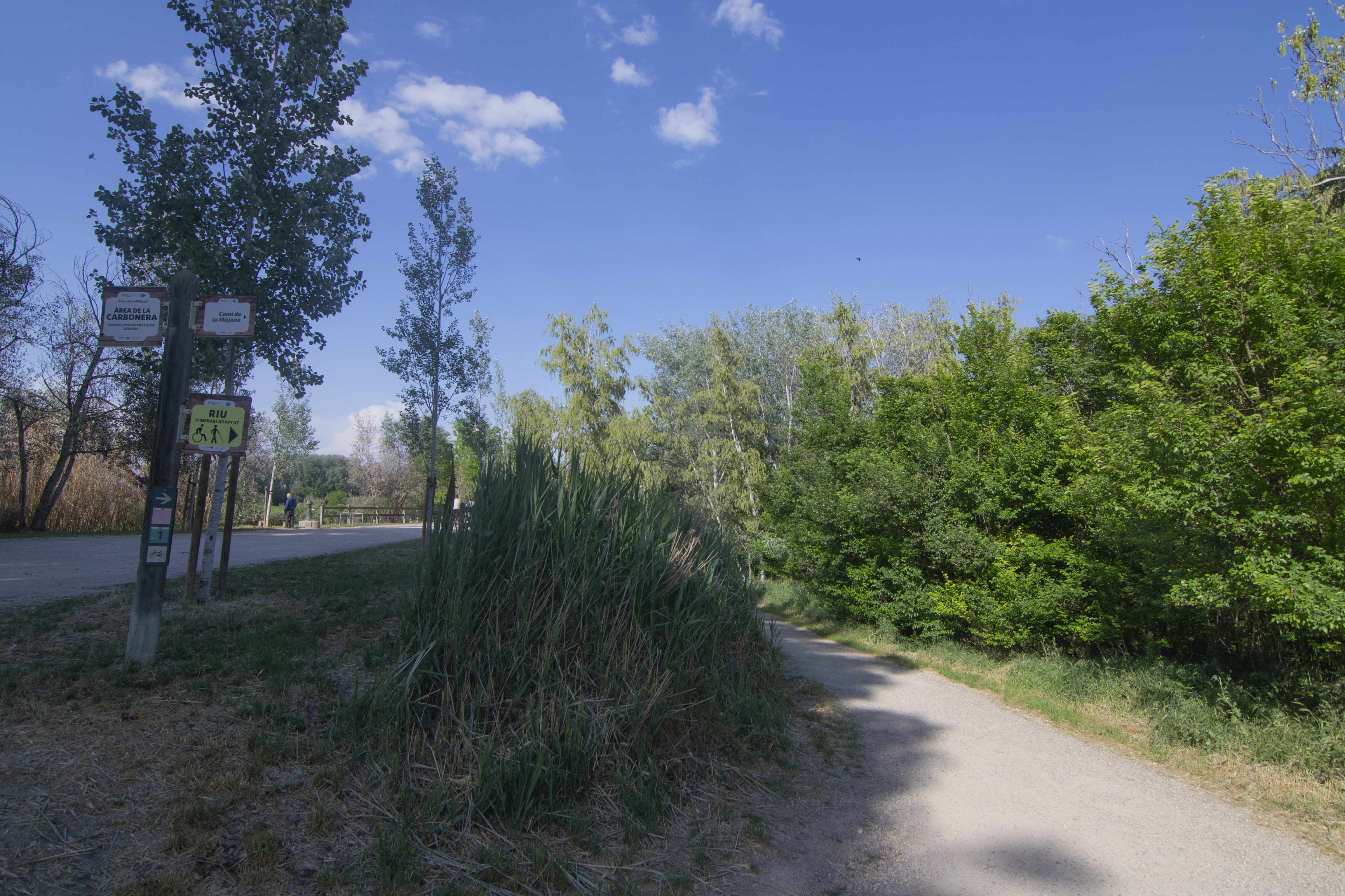 La Mitjana Park