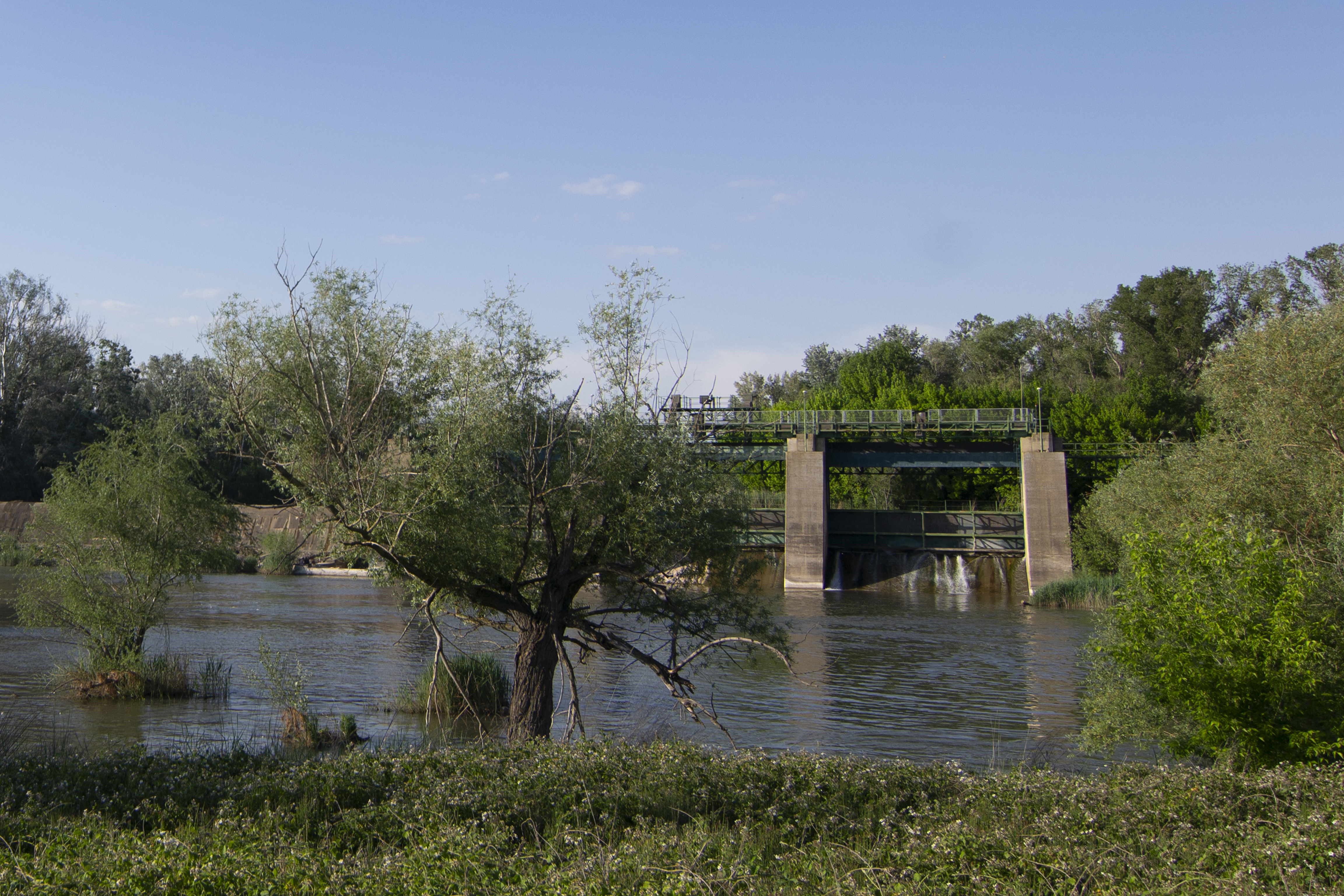 Serós Canal Weir