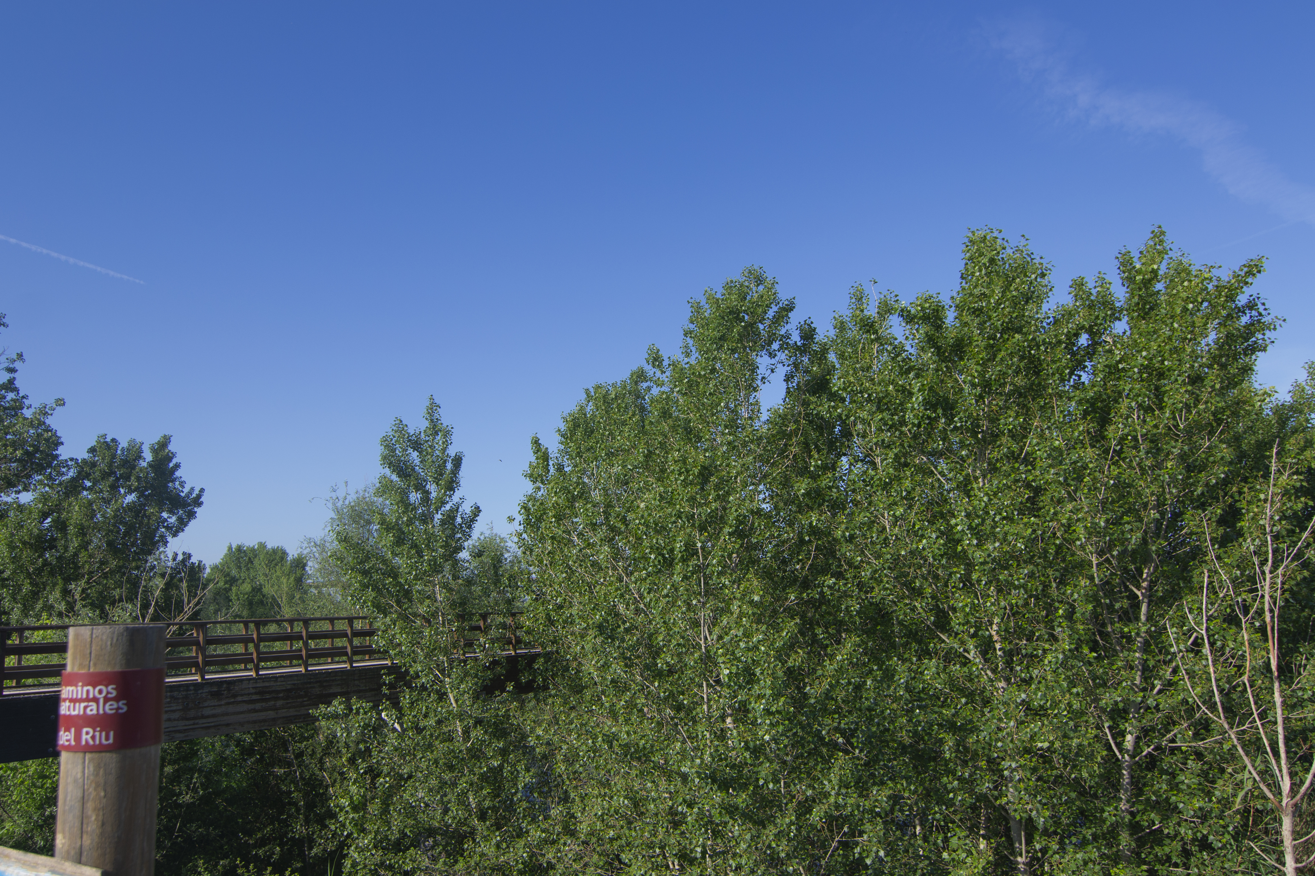 Tòfol Poplar Grove
