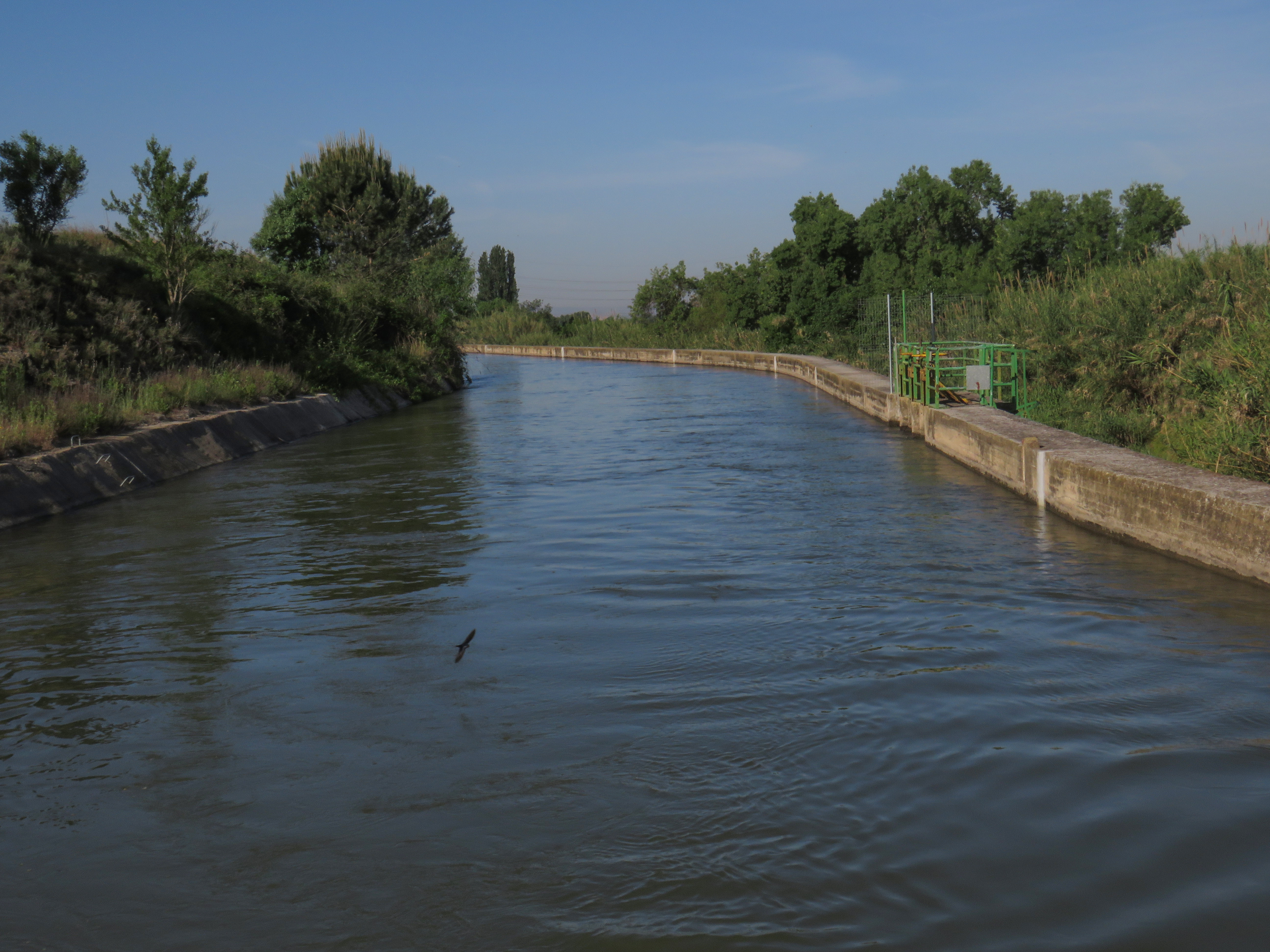 Canal de Seròs (irrigation canal)
