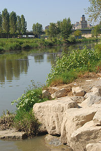 Orillas del río Segre