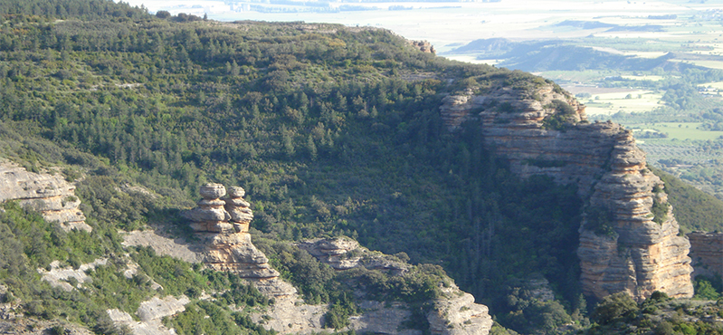 Camino Natural de la Hoya de Huesca. Etapa 3: Loarre–Bolea