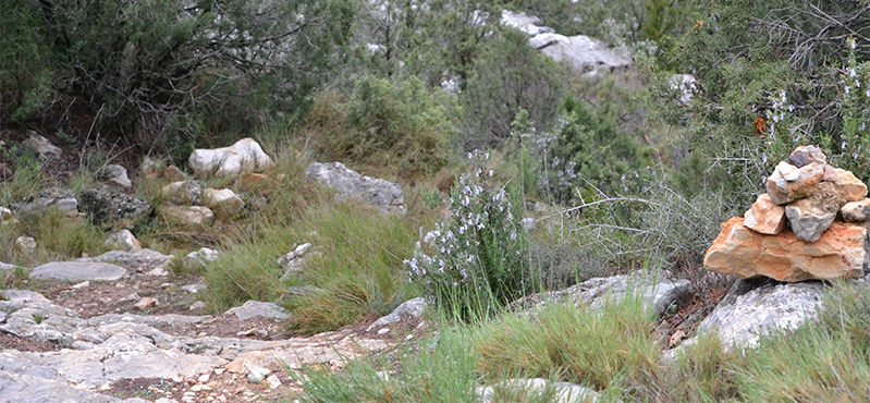 Camino Natural del Matarraña - Algars. Etapa 2: Beceite - Valderrobres