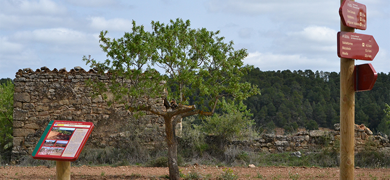Camino Natural del Matarraña - Algars. Etapa 4: Torre del Compte - Valdeltormo