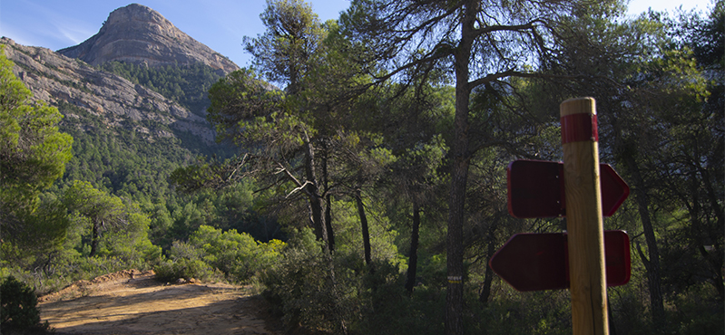 Camino Natural del Matarraña - Algars. Etapa 13: Arnes - Beceite