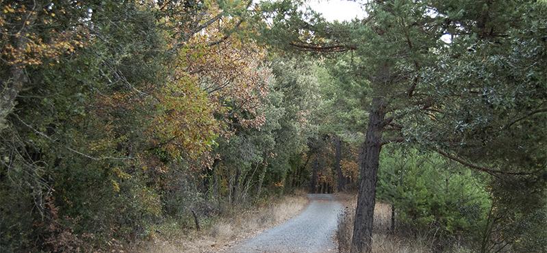 Camino Natural Muntanyes de Prades