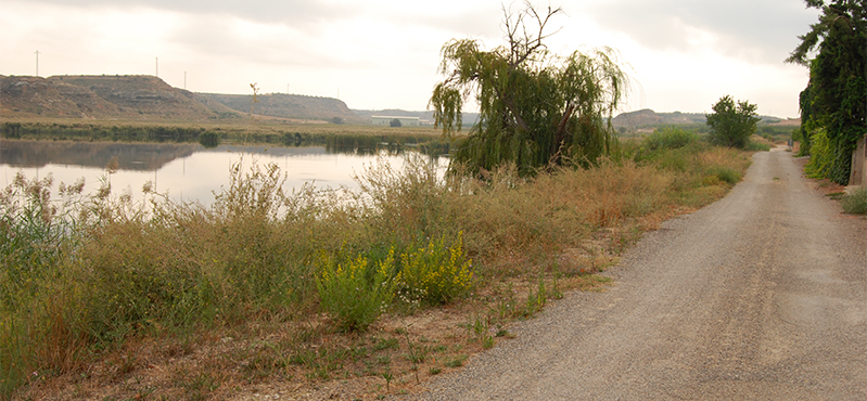 Camino Natural del río Segre y embalse de Utxesa