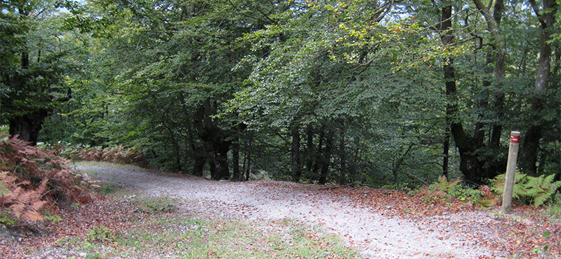 Camino Natural Senda del Pastoreo: Etapa 2