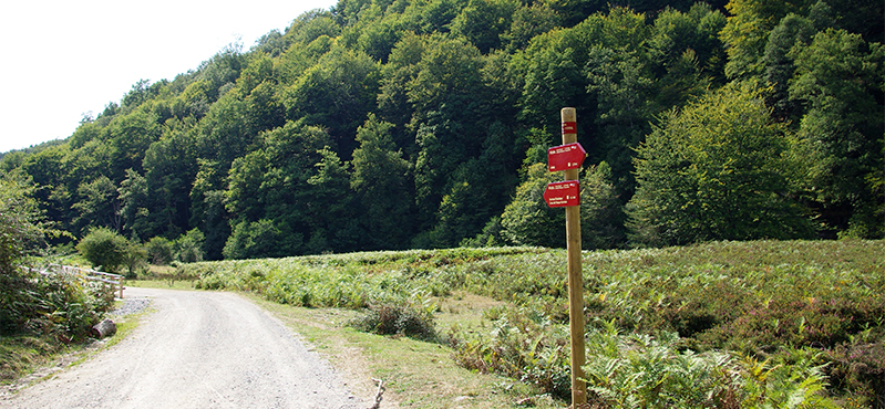 Camino Natural Senda del Pastoreo: Etapa 4