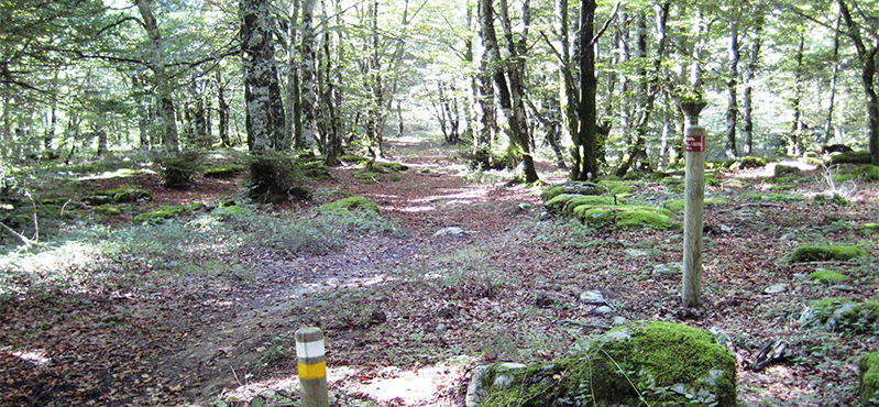 Camino Natural Senda del Pastoreo: Etapa 5