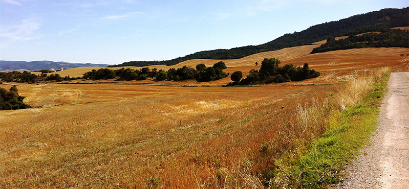 Camino Natural Senda del Pastoreo: Etapa 8