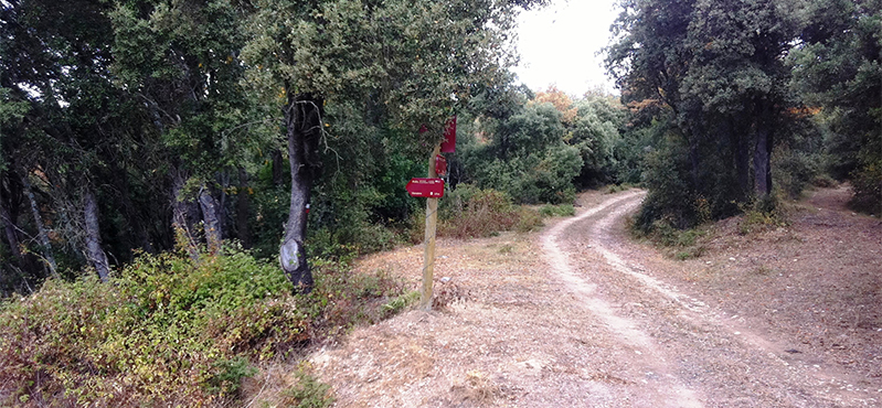 Camino Natural Senda del Pastoreo: Etapa 9