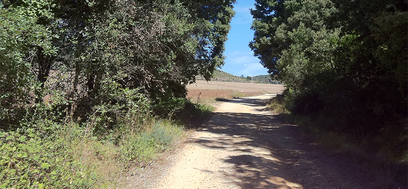 Camino Natural Senda del Pastoreo: Etapa 12
