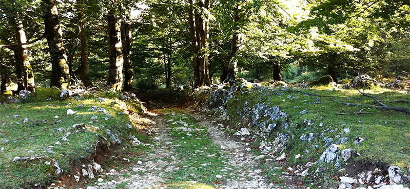 Camino Natural Senda del Pastoreo: Etapa 13
