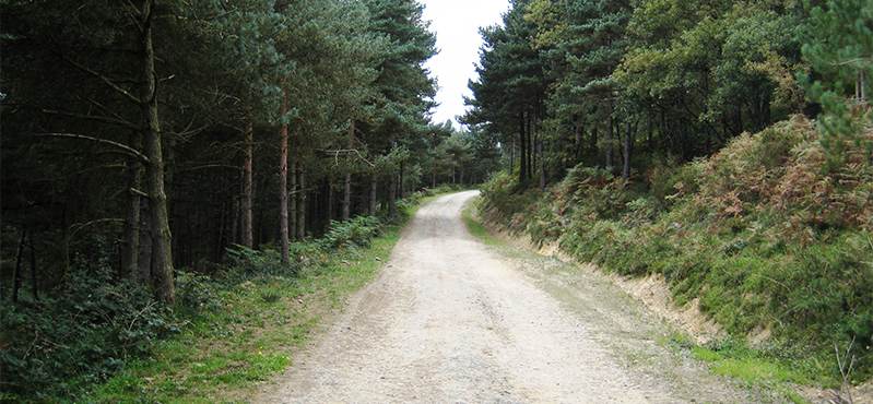 Camino Natural Senda del Pastoreo: Etapa 18