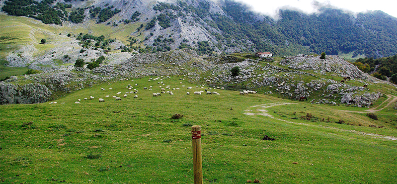 Camino Natural Senda del Pastoreo: Etapa 19