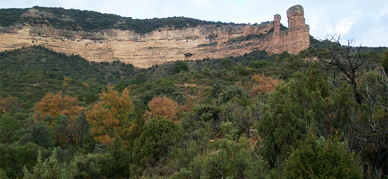 Camino Natural del Somontano de Barbastro. Etapa 3: Las Almunias de Rodellar–Salto de Bierge