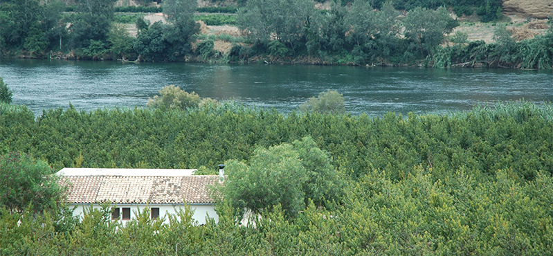 Camino Natural Vía Verde de la Val de Zafán. Tramo Tortosa - Estación de Pinell de Brai (Baix Ebre)