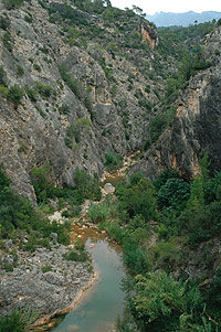 Barranco del río Canaleta