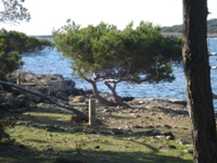 Vista del camino junto a la costa