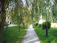 Ruta junto a la urbanización “La Campanilla”