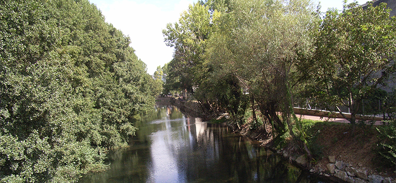 Camino Natural de Cacabelos - Quilós