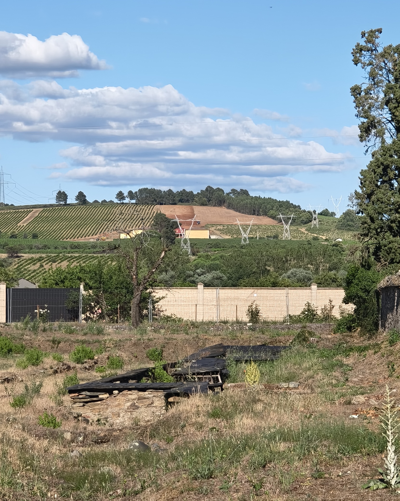 Yacimiento arqueológico de La Edrada 