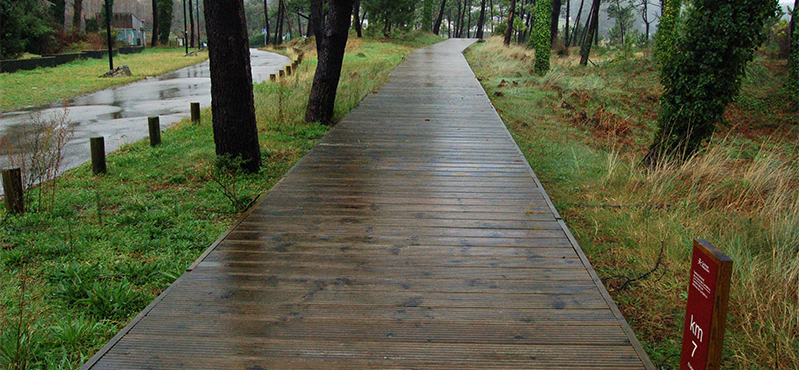 Camino Natural Ruta del Cantábrico. Etapa 6: Viveiro - O Vicedo
